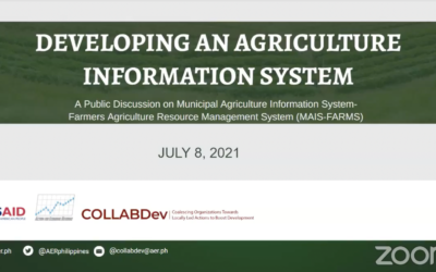 Highlights from Developing an Agriculture Information System: A Public Discussion on MAIS-FARMS